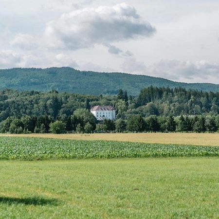 Das Gaertnerhaus Villa Steinakirchen Am Forst Luaran gambar